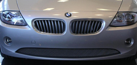 BMW Z4 Bumper Mesh Grille